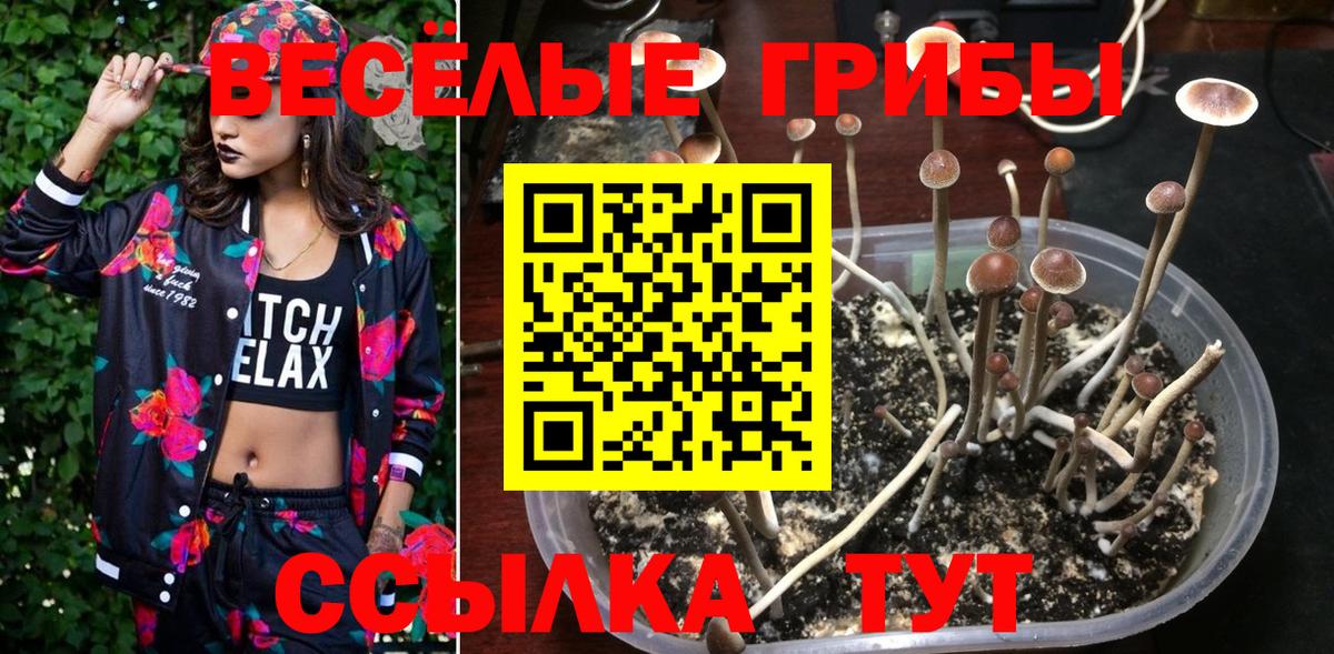 Семёнов  Галлюциногенные грибы Psilocybe  Вход с VPN 